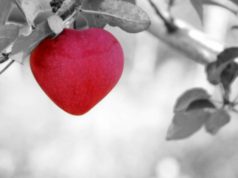 Jabuka u obliku srca
